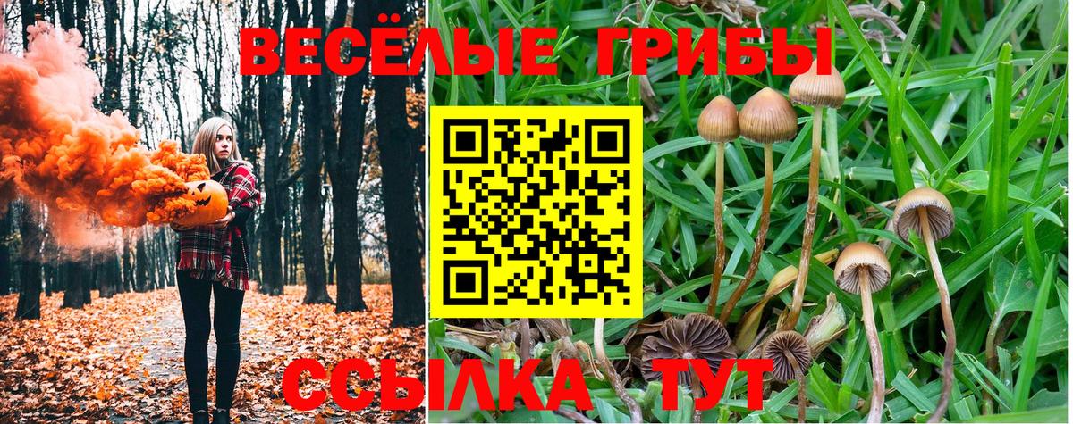 Калининград  Галлюциногенные грибы ЛСД  Вход с VPN 